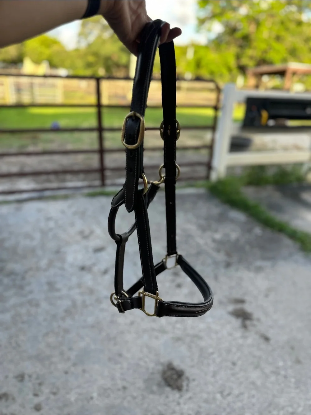 Brown Leather Horze horse Halter with White Stitching - Picture 7 of 8